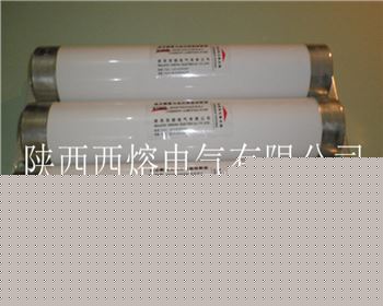 陜西電動(dòng)機(jī)上用高壓限流熔斷器